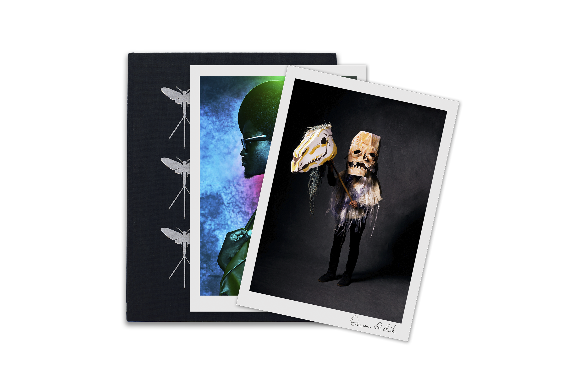 Mayflies - Special Edition 8x10