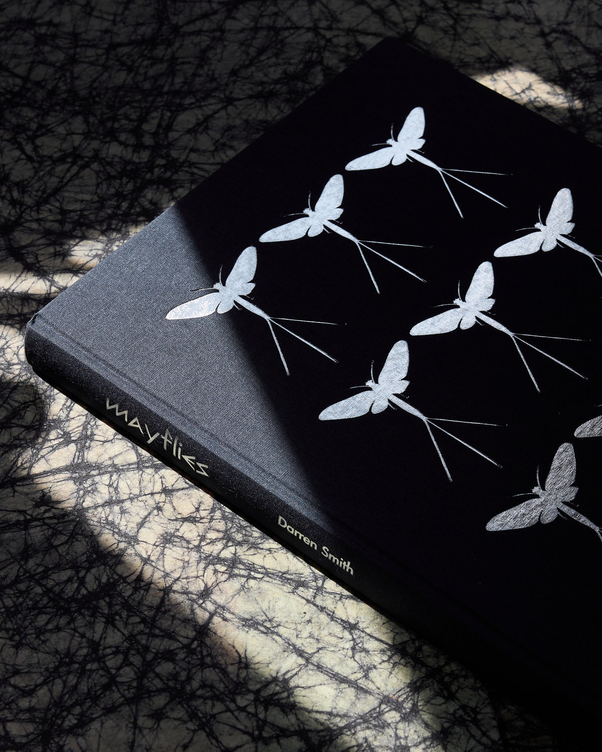 Cover of Mayflies by Darren Smith on a coffee table