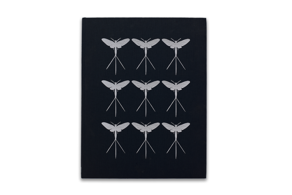 Mayflies book by Darren Smith, book cover with charcoal book cloth and silver embossed mayflies 